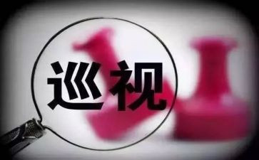 巡视整改报告报告7篇