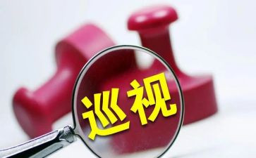 巡视整改整改报告5篇