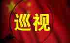 巡视件整改报告8篇