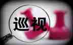 巡视整改报告报告7篇