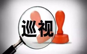 区巡视组巡视工作报告5篇