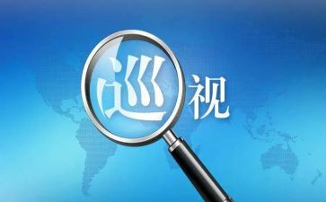 巡视组心得7篇