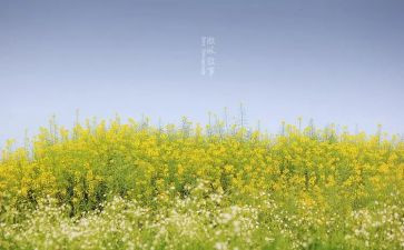 写我的叙事作文5篇