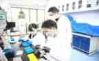 研究工作报告精选5篇