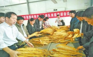 试验员总结报告6篇