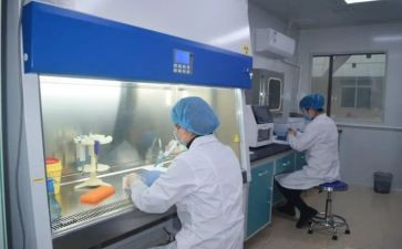 化验员月总结报告8篇
