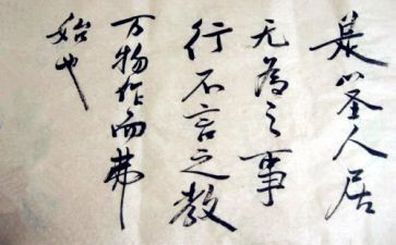 言与行作文高中800字精选5篇