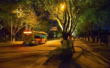 熬夜情况调研报告8篇