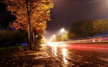 一千零一夜读后感5篇