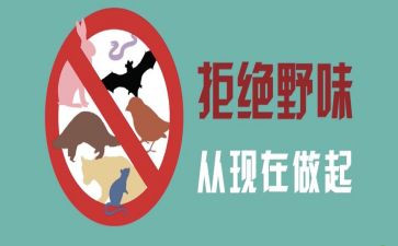 拒绝野味,从我做起演讲稿6篇
