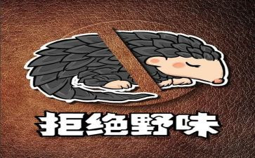 拒绝野味从我做起演讲稿5篇