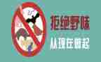 拒绝野味,从我做起演讲稿6篇