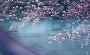 一季度工作报告5篇