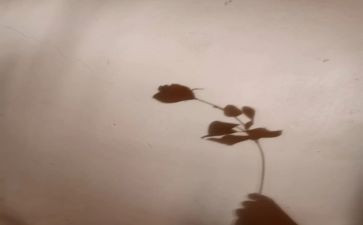 大影子小影子健康教案6篇