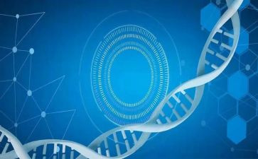 社会医学生实践报告7篇