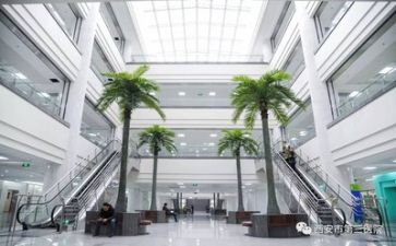 医院科个人述职报告7篇