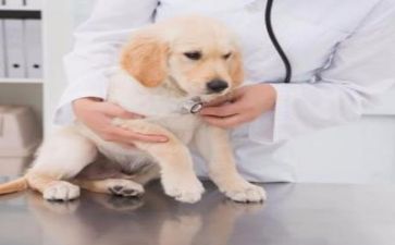 医院年终考述职报告6篇