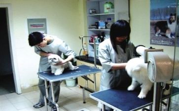 医院个人述职报告t范文5篇