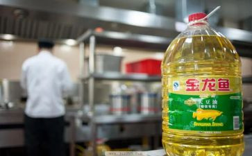 油和水科学活动教案6篇