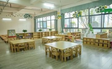 幼儿园总结报告个人工作8篇