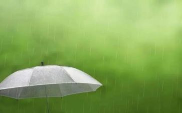 雨作文范文优质6篇