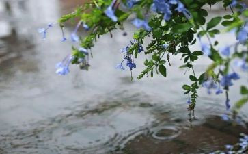 小班有关雨的教案最新8篇
