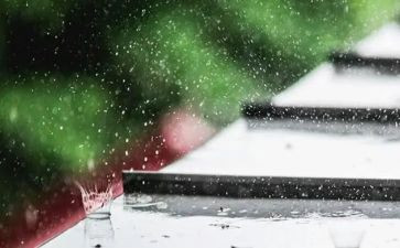 幼儿园大班雨的教案参考5篇