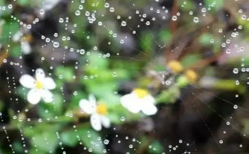 雨中的作文600字作文精选5篇