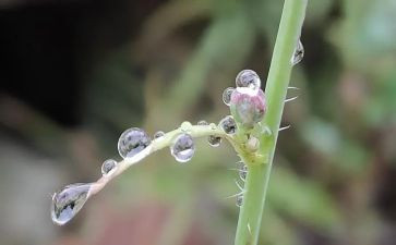 大班下雨天教案6篇