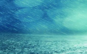雨600字初中作文最新5篇