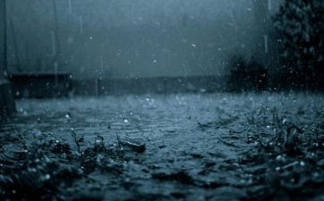 黑雨心得体会6篇