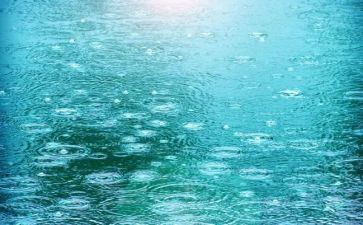 关于下雨的作文300字8篇