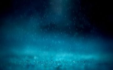 雨天的书读后感8篇