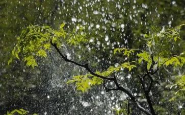 小班有关雨的教案参考7篇