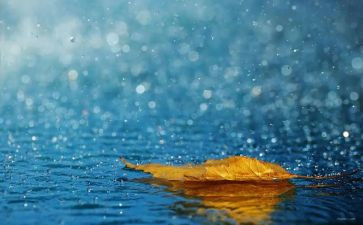 读了小英雄雨来的心得体会优秀5篇
