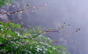 幼儿园中班《雨》教案精选8篇