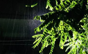 军训下雨心得体会7篇