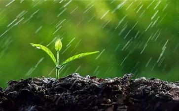 大班语言雨教案精选8篇