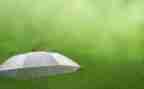 雨的四季作文300字优秀6篇