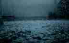 《春风化雨》观后感精选5篇