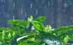 雷雨的心得体会8篇