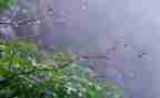 幼儿园中班《雨》教案精选8篇