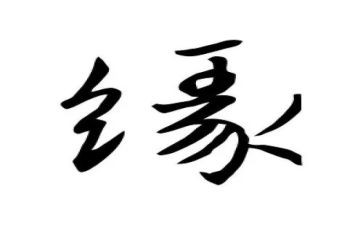 我与书的缘作文6篇