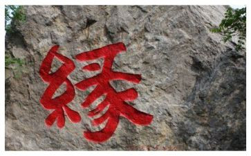 我与书的缘作文优质6篇