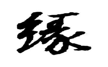我与书的缘作文推荐7篇