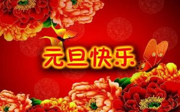 看元旦活动总结模板6篇