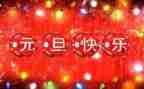 元旦总结报告8篇