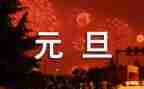 元旦的活动总结模板7篇