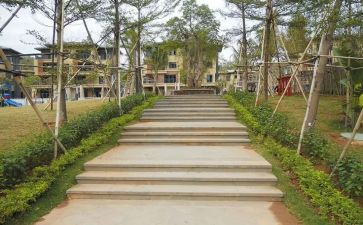 园建年度工作计划推荐5篇
