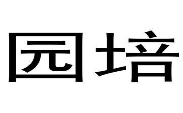 幼儿园培训活动方案8篇